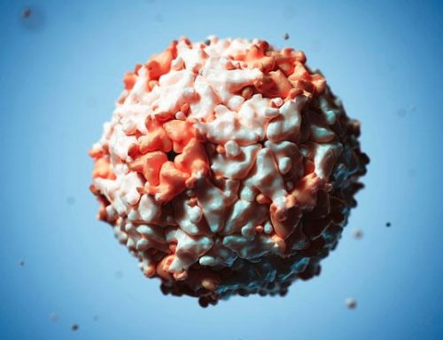 Seneca Valley Virus gevonden in Engeland