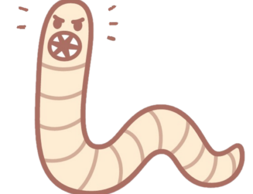 Ontworming